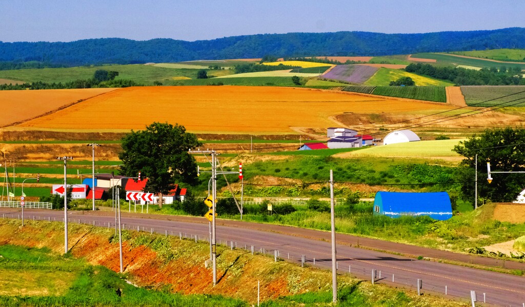 田園地帯を走る
