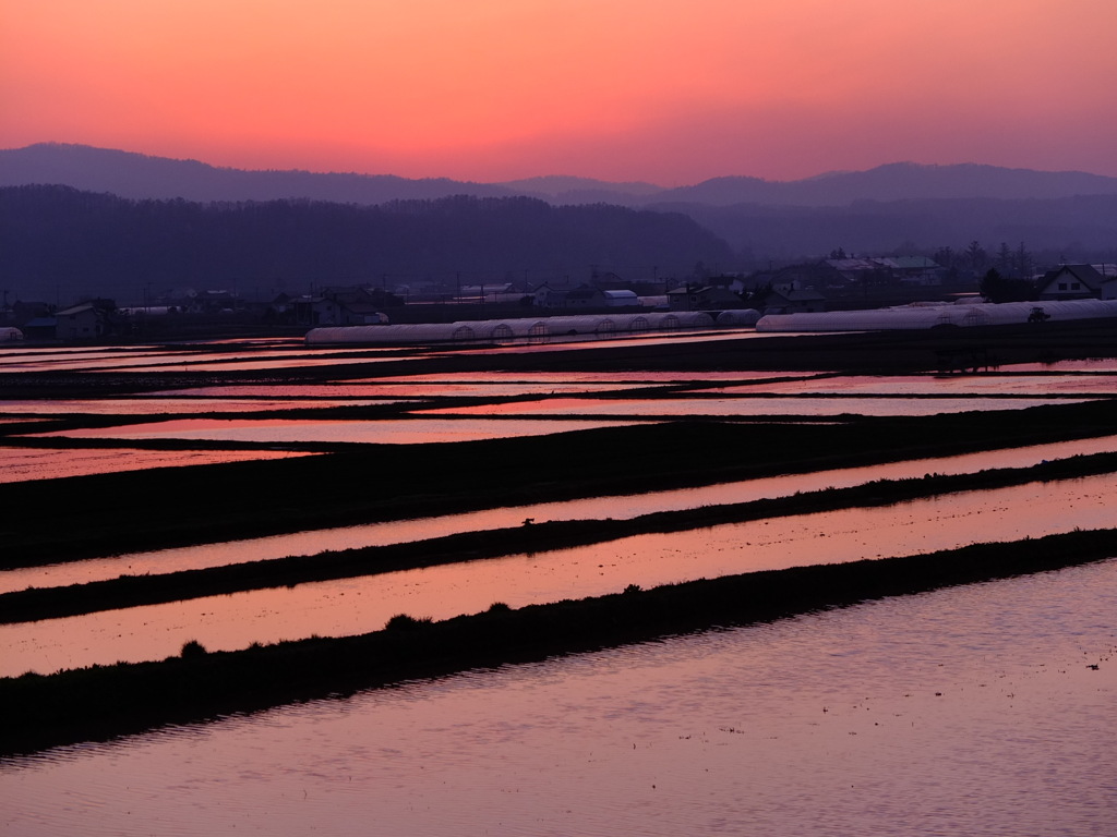 日没