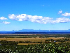 釧路湿原