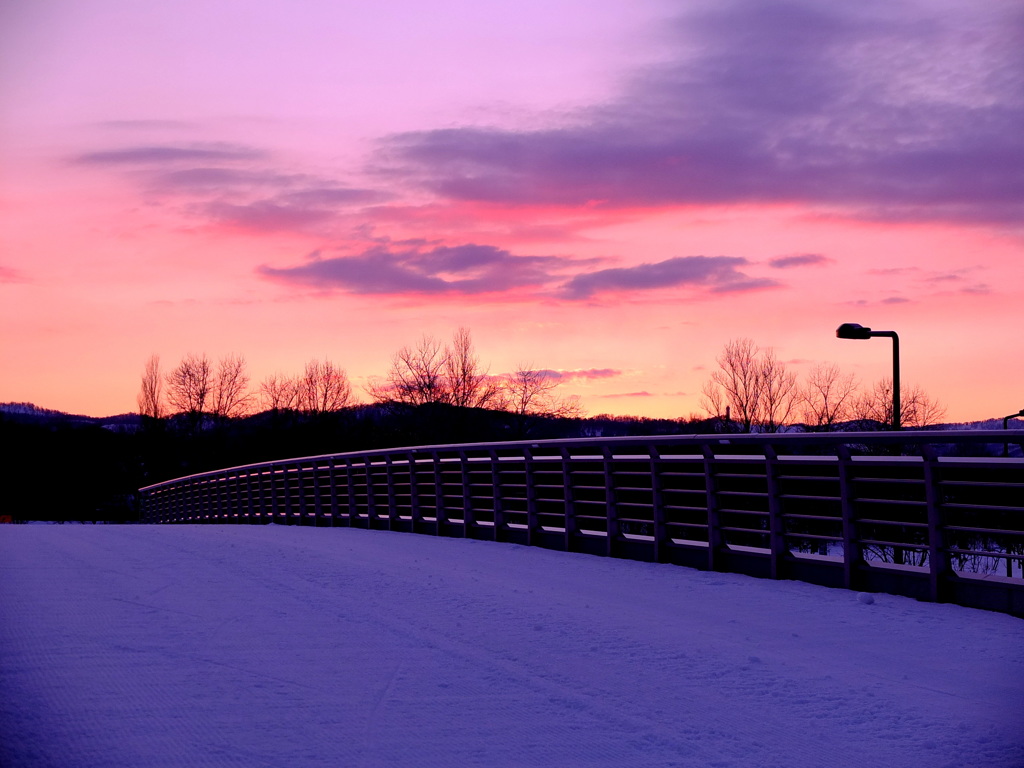 歩道橋から夕暮れを
