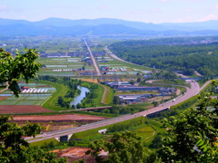 田園