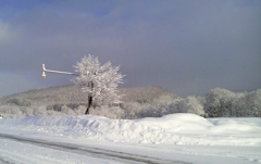 Ｒ４０宗谷へ向かう