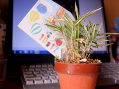 配達されないバースディカード 配達されないバースディカード