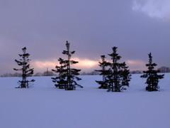 静かなる夕焼け