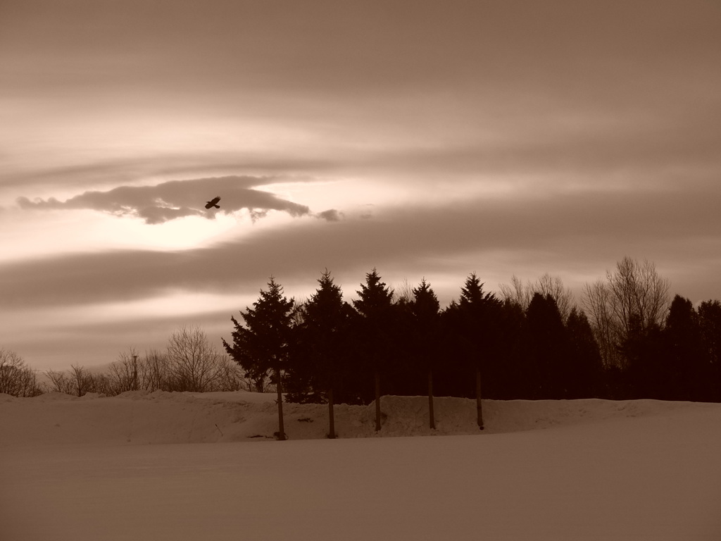 静かな日曜日１