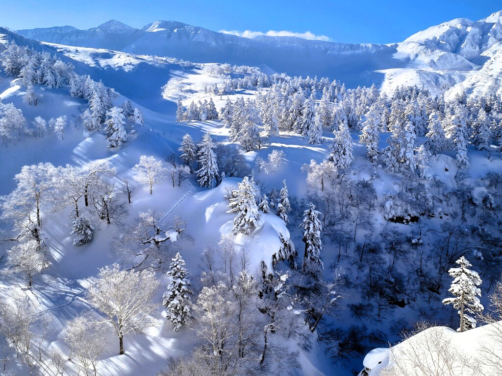 十勝岳