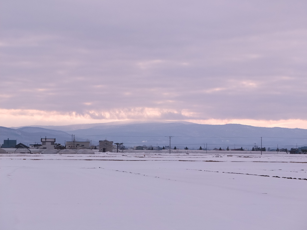 まもなく春ですね１