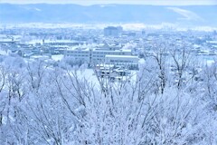 樹氷に囲まれた街