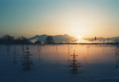 ペンタと秋紀行５