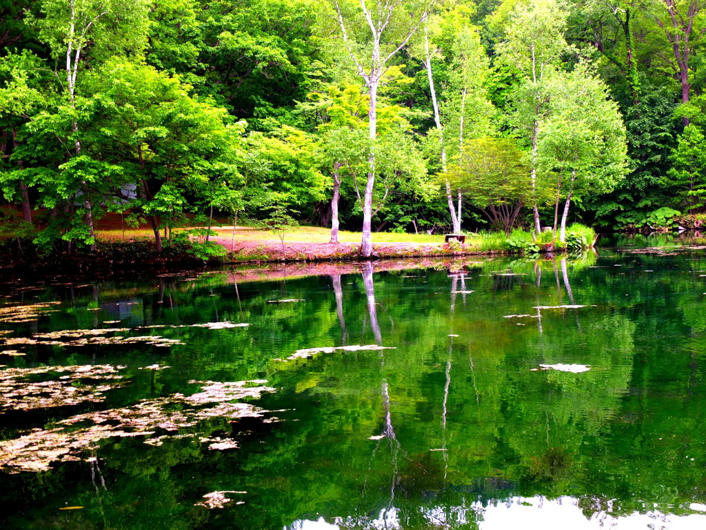 富良野、鳥沼公園