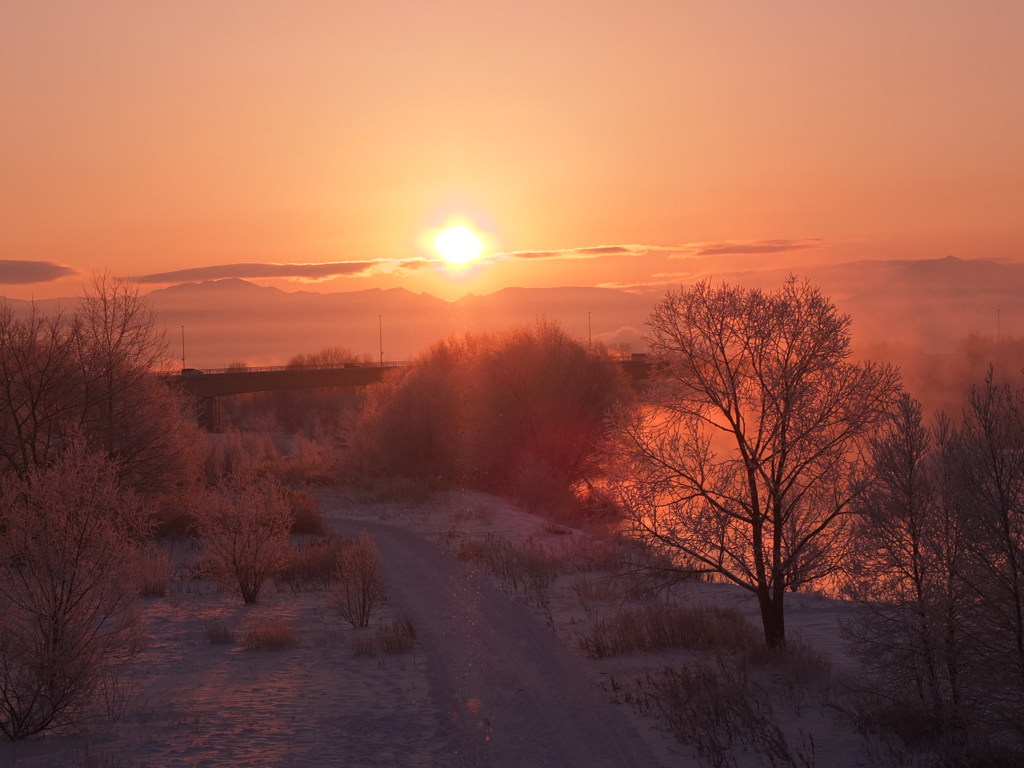 大雪の日の出