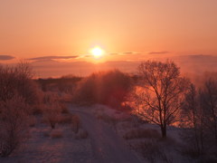 大雪の日の出