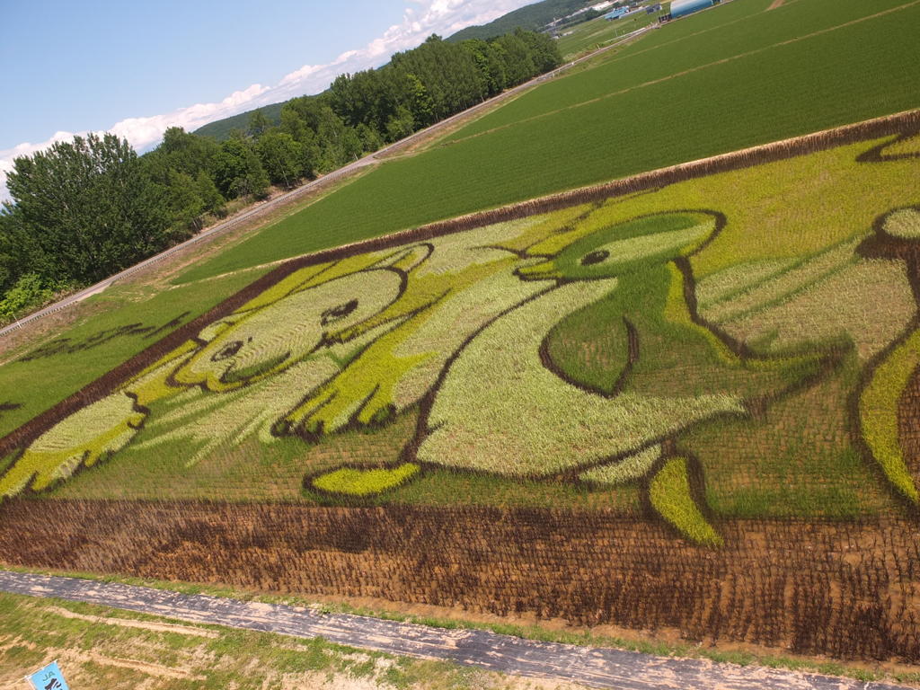 たんぼアート２