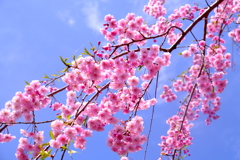 季節の中で