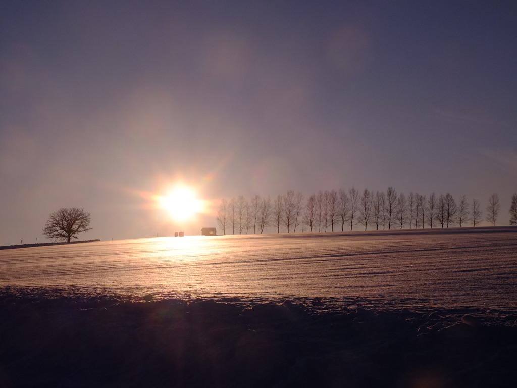 マイルドセブンに太陽を