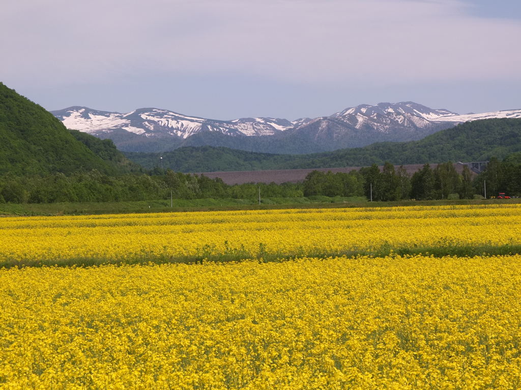 大雪のふもと２