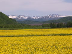大雪のふもと２