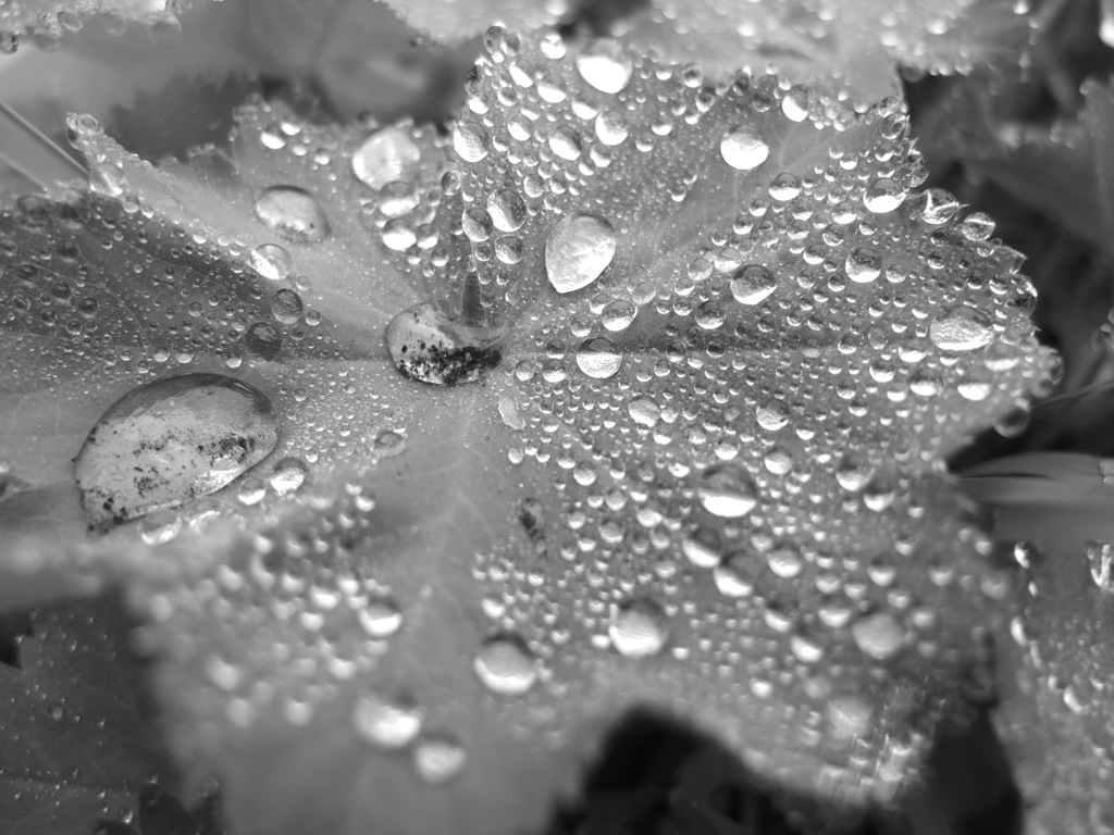 しずくの旅立ち１