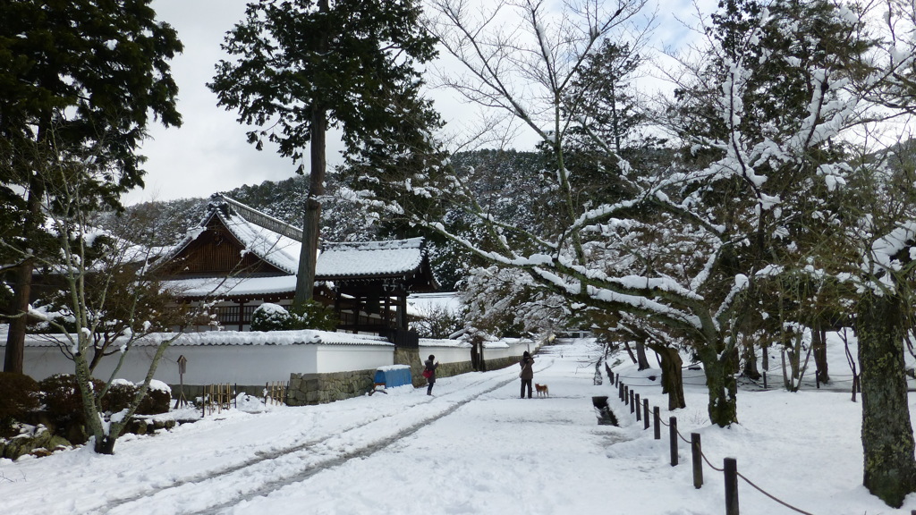 京の美３