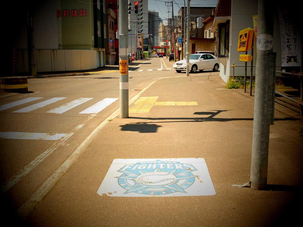 この日の散歩道