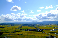 みのり