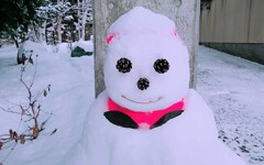 暑中お見舞い申し上げます　②