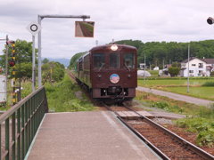 富良野、美瑛、ノロッコ号２