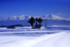 農村風景