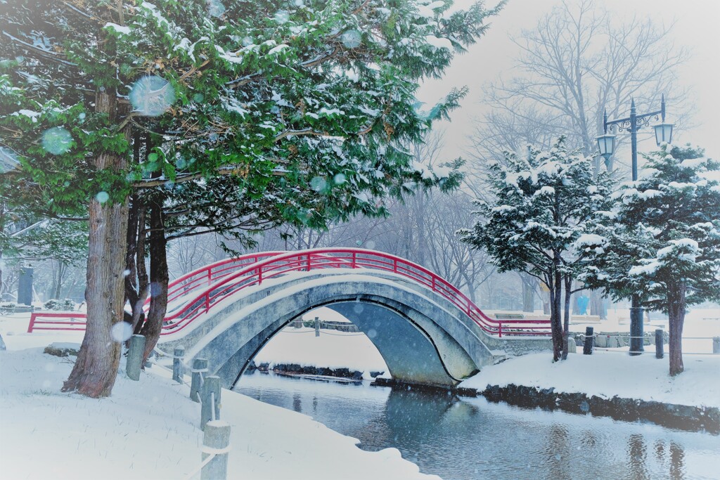 雪の降る中で