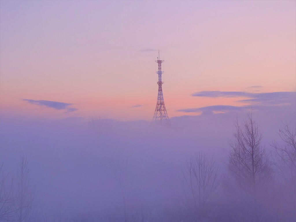 朝霧