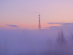 朝霧