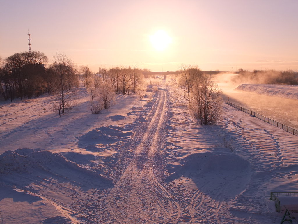 朝日をあびて散歩道