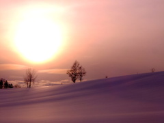 夕暮れを見て