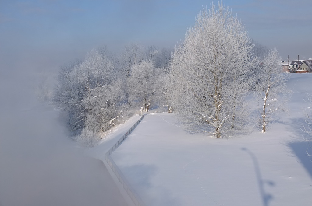 極寒の朝