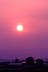 田園の朝 田園の朝