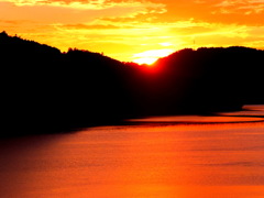 この夏の思い出、蛍の初恋 この夏の思い出、蛍の初恋