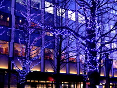 Akarenga  Terraceとイルミネーション Akarenga  Terraceとイルミネーション