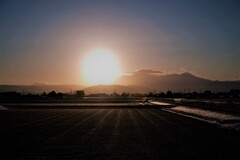 田園に春が来た