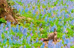 花園に囲まれて