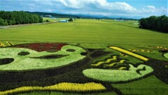 田んぼアート2021