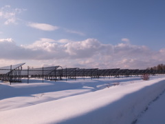 ひかりをあびて１