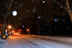 雪舞うロマンチック街道 雪舞うロマンチック街道