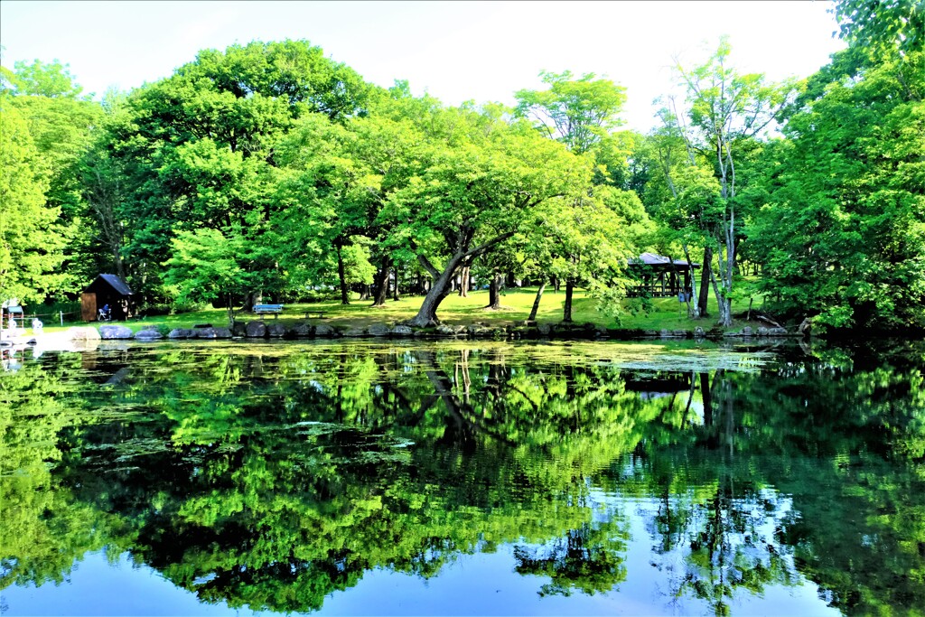 エメラルドグリーンの池