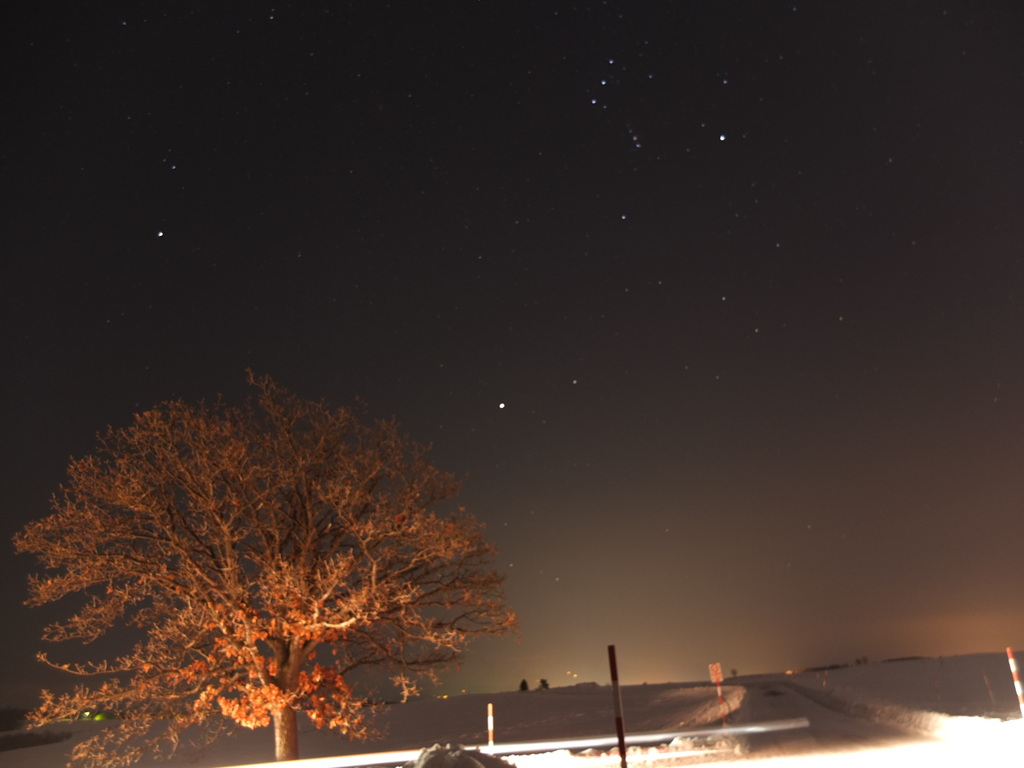 ヘットライトに照らされて