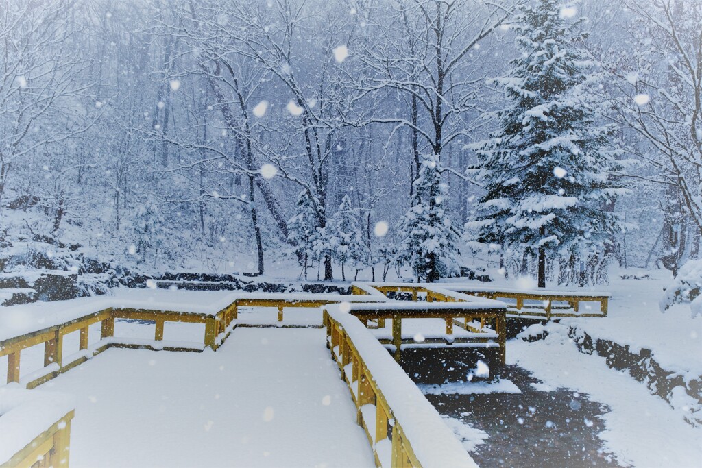 雪の中で