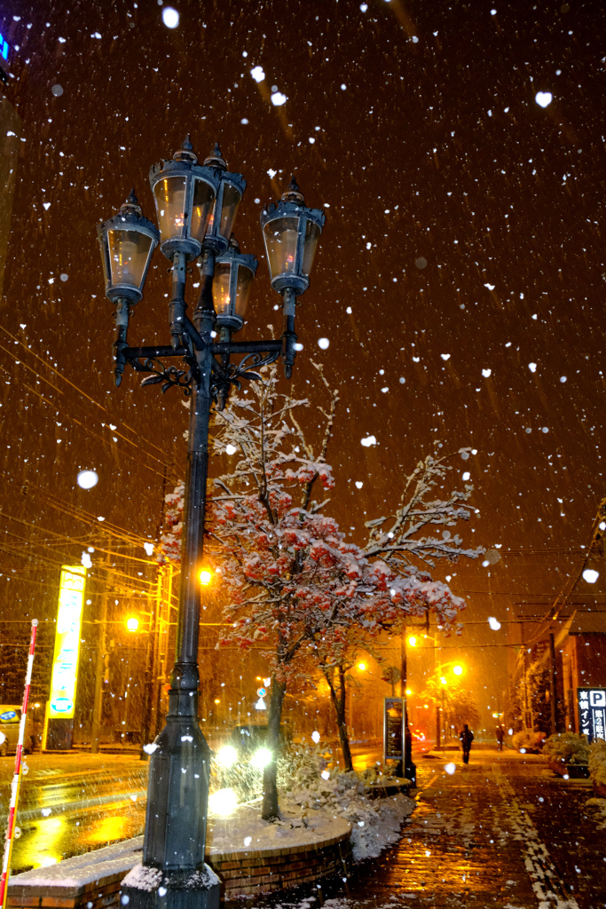 雪の降る街