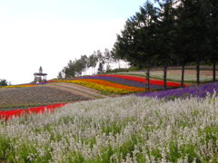 サルビアの路、弐