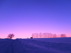 セブンスターに