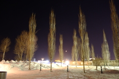 夜の散歩道
