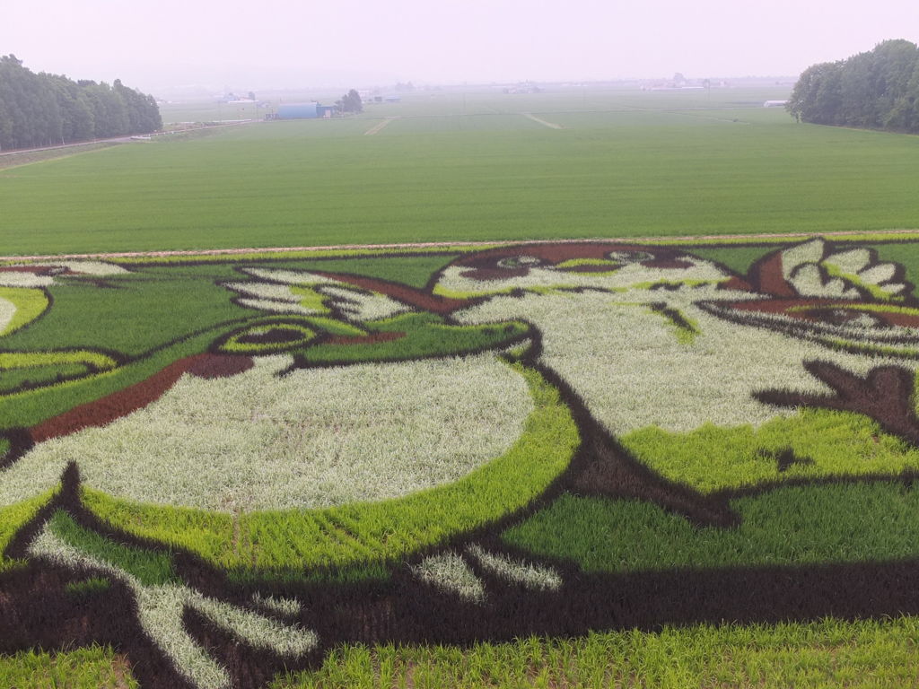 田んぼアート3